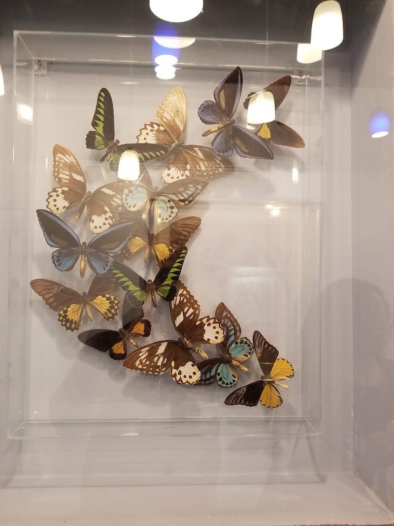 Educational Exhibits That Make Learning Feel Like Play