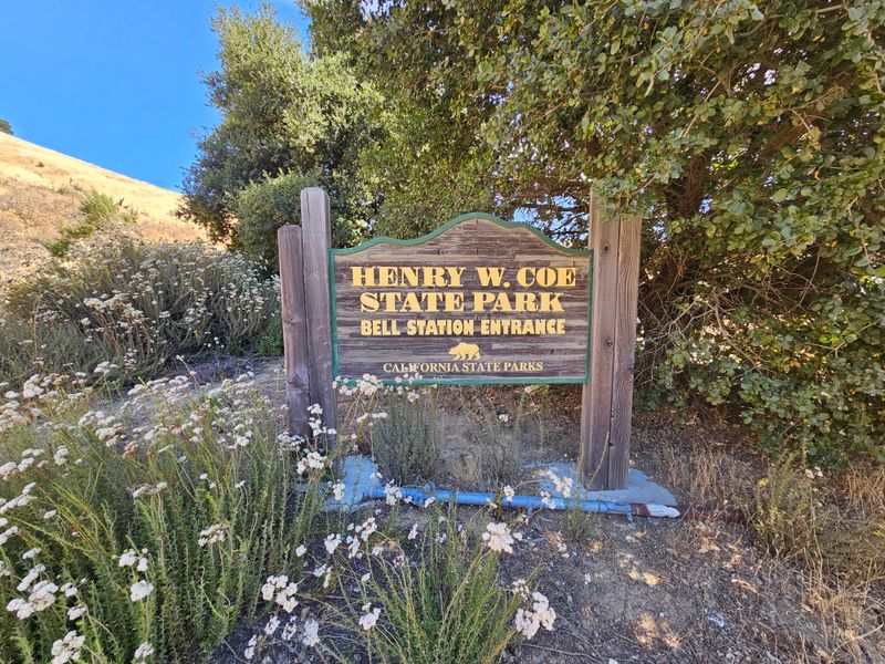 Wildlife Haven For Diverse Species