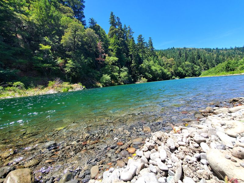 Potter Valley Project Dam Removal