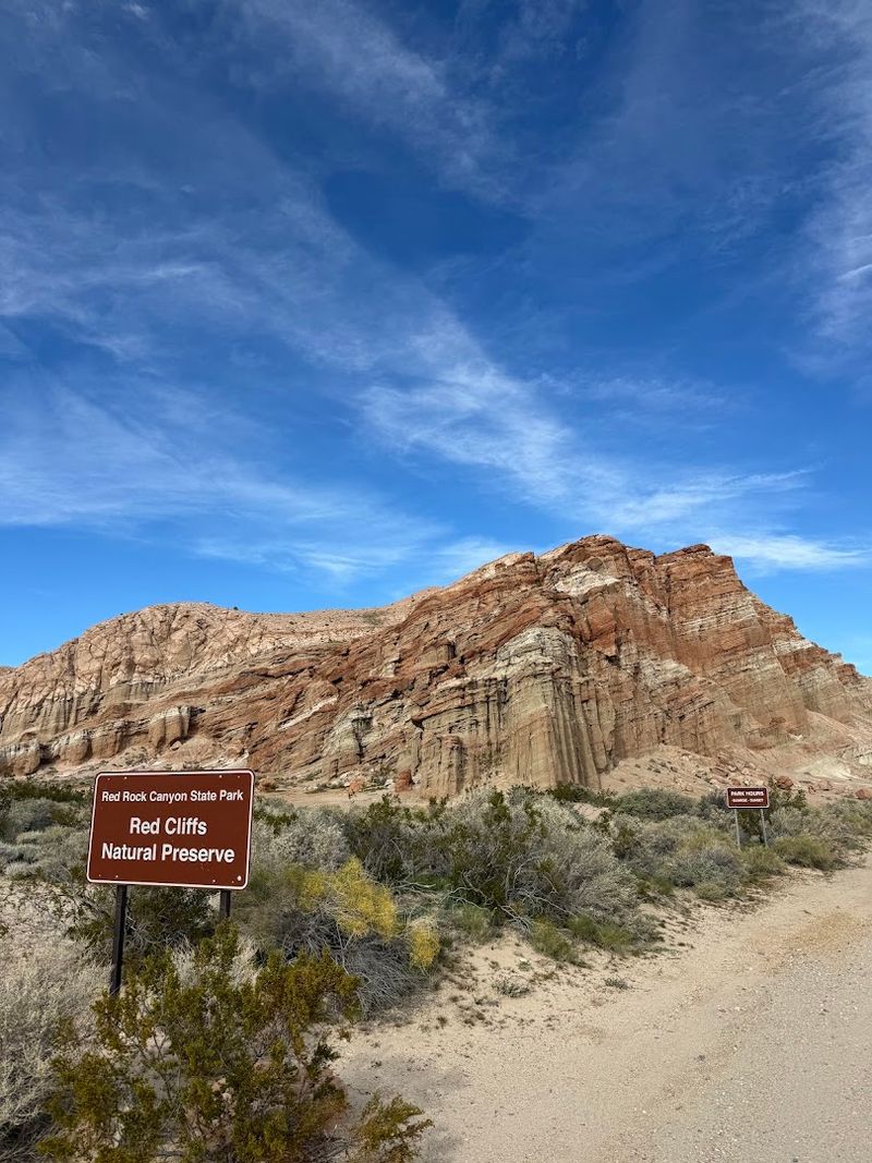 Hiking Trails From Easy Strolls To Challenging Loops