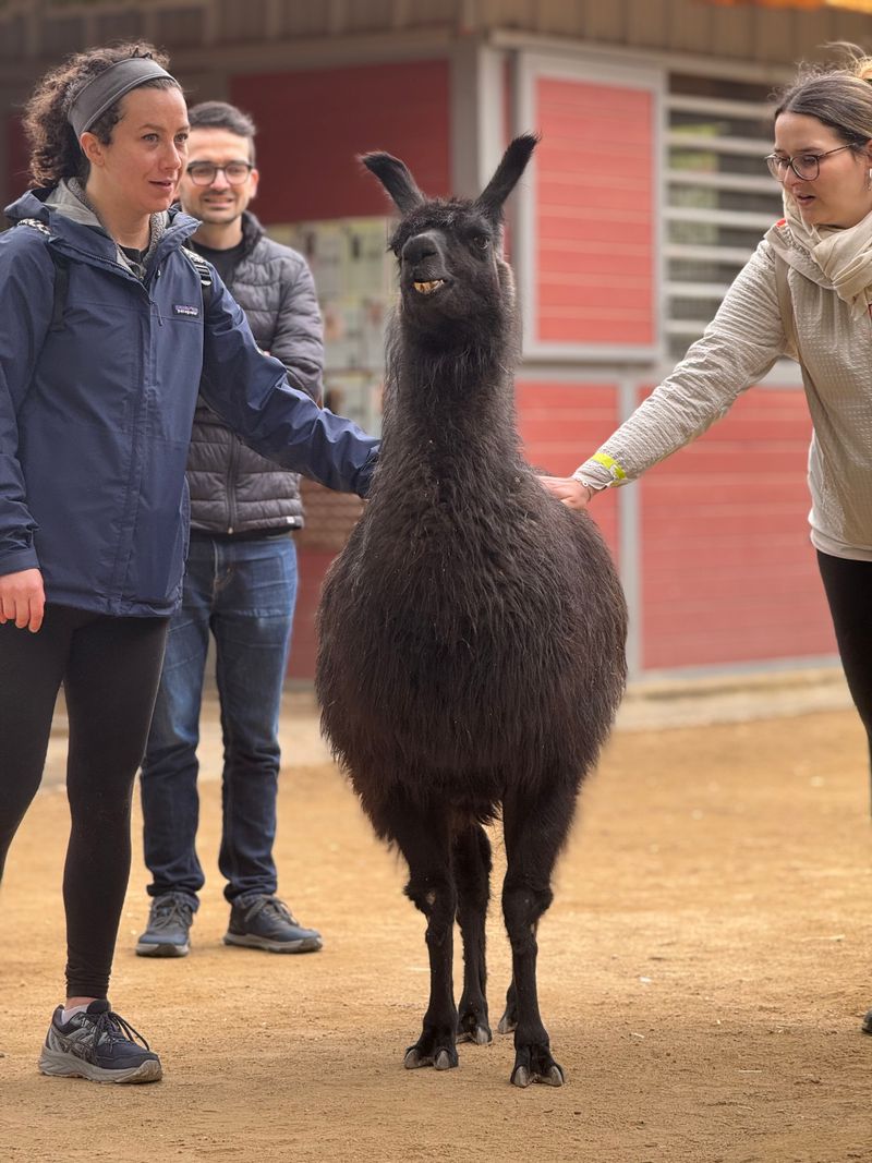 Educational Field Trips Teach Compassion And Animal Care