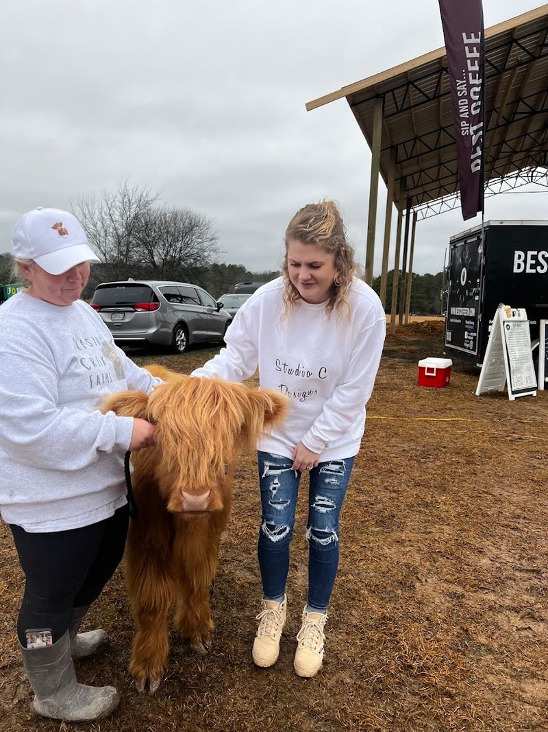 This Authentic Georgia Farm Blessing Creek Farms Georgia Brings Country Living To Life In 2026 - Decor Hint Family-Friendly Activities for All Ages