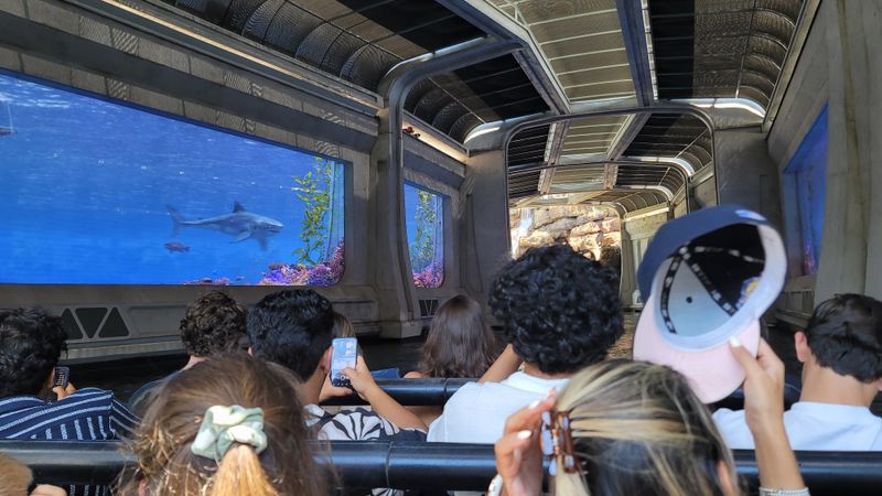 Film Appearances Add Authentic Connections