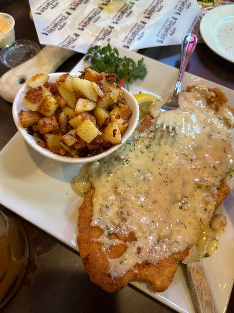 Dachshund Races Provide Unique Entertainment