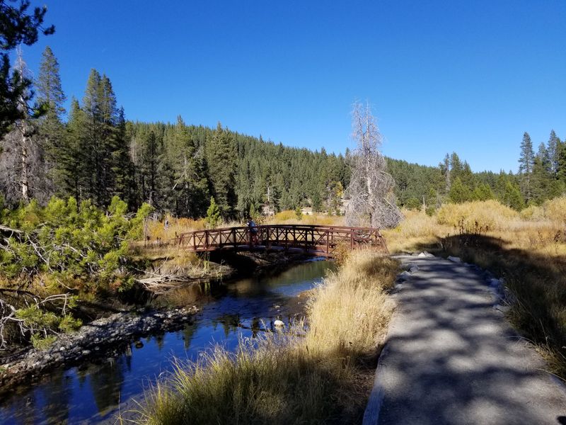 Access To Over Hundreds Of Miles Of Trails