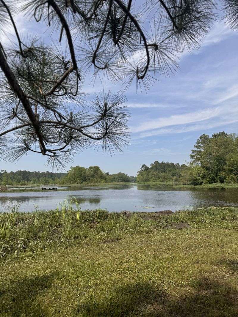 Surrounding Natural Areas