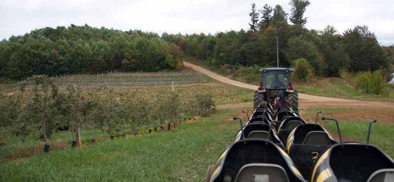 Spend The Day Picking North Carolina Apples At This Charming Orchard In Moravian Falls - Decor Hint Educational Tours Through The Orchards