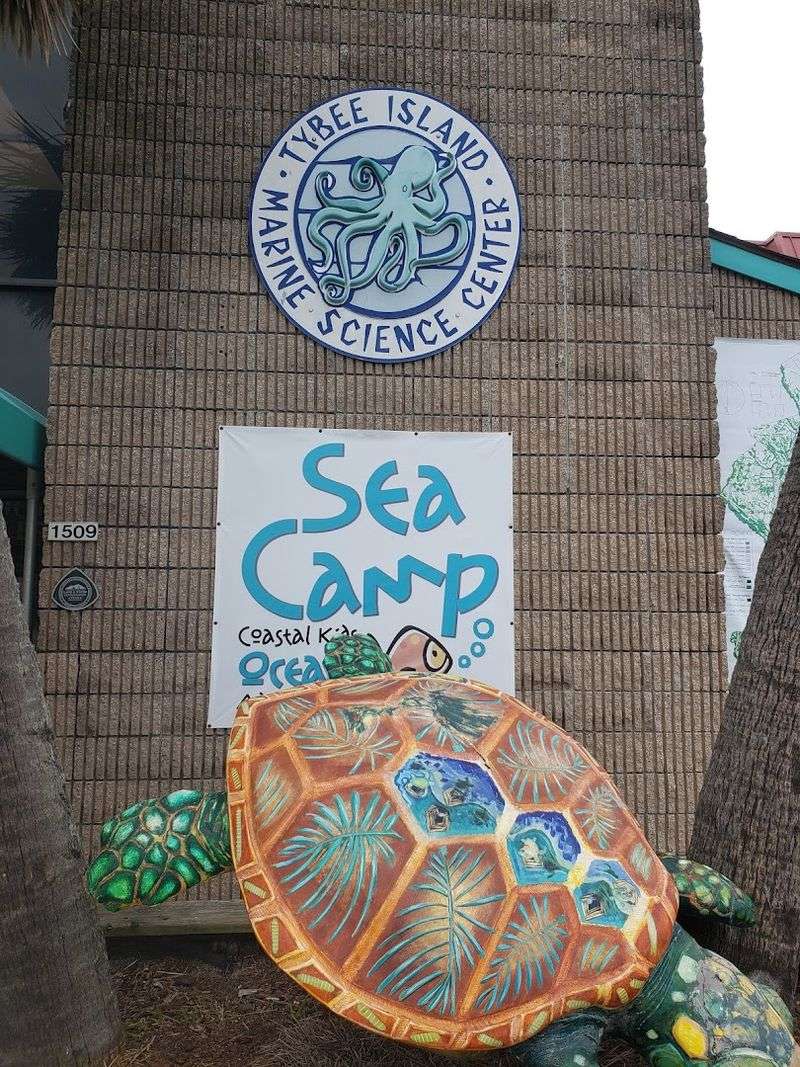 Educational Programs For All Ages