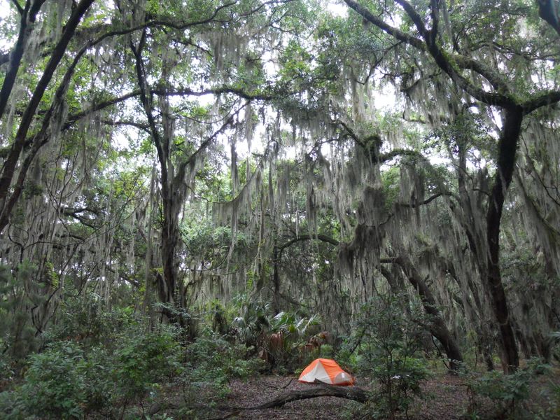 Hickory Hill Backcountry Site