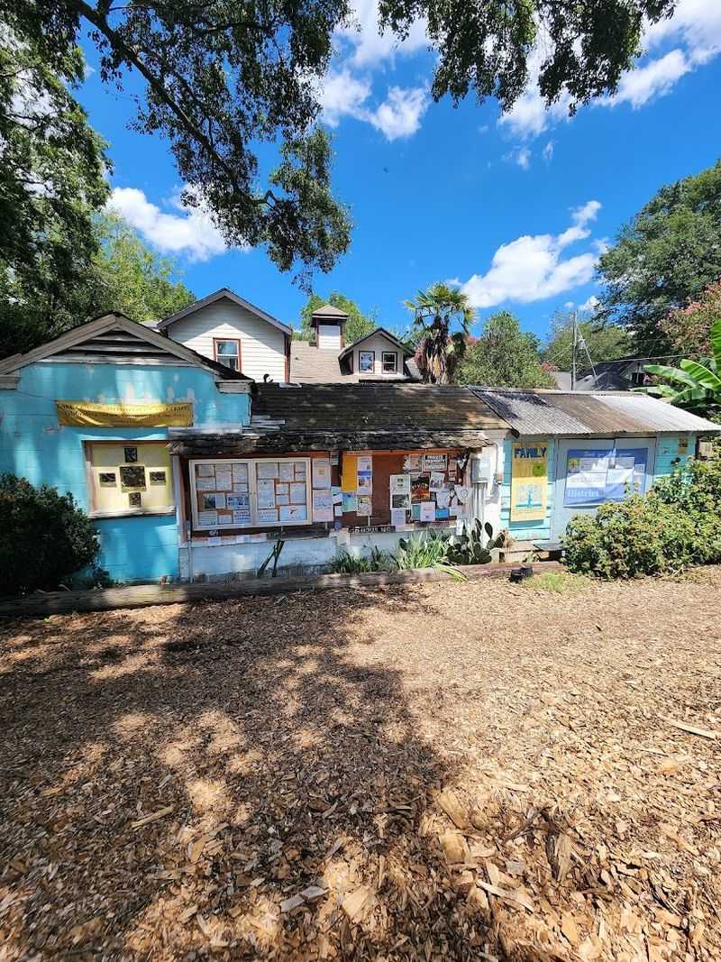 Open Mic Nights For Local Talent