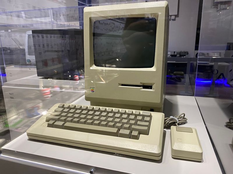 A Personal Collection Built With Real Passion