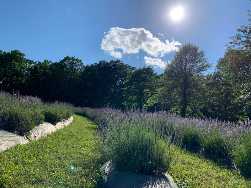 Photography Opportunities Around Every Corner