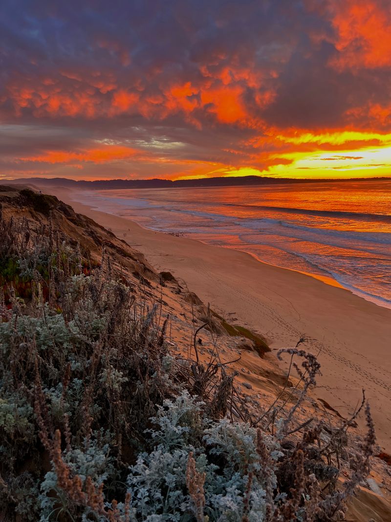 Fort Ord Dunes State Park Protects Coastal Habitat