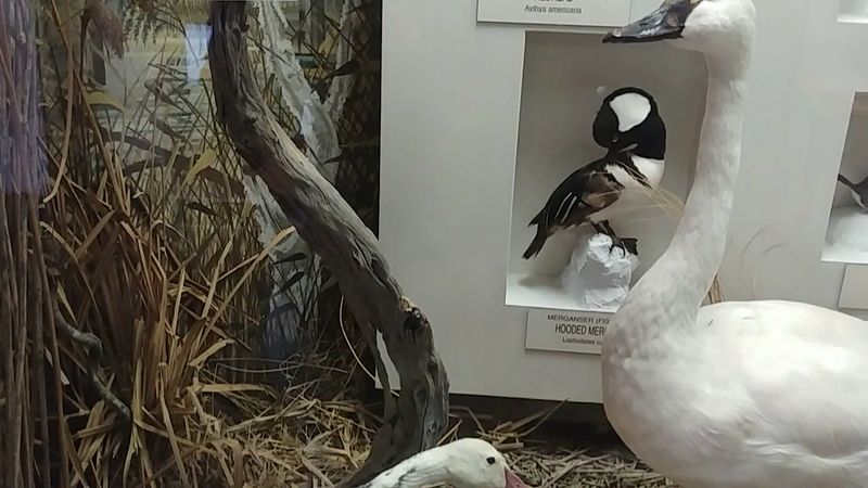 See A Real Apollo Spacecraft And A 10K Planetarium For Free At This Hidden Atlanta Georgia Gem - Decor Hint Environmental Science Demonstrations