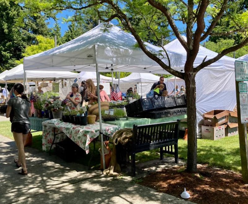 Bainbridge Farmers Market