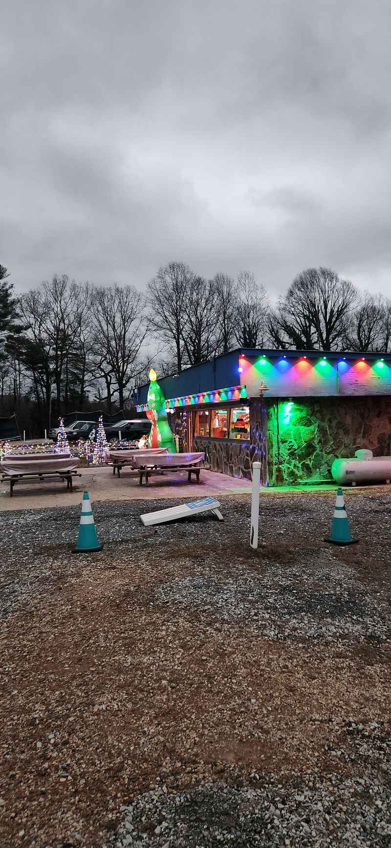 Mouthwatering Burgers and Fries