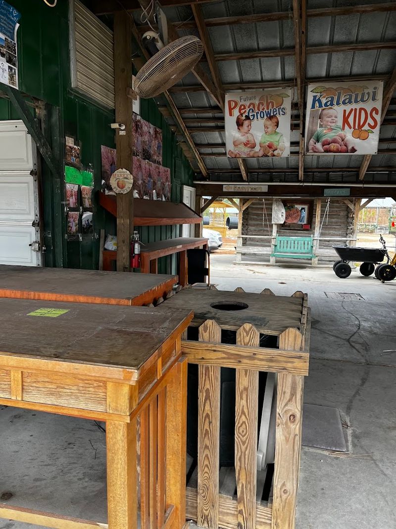 Educational Opportunities For School Groups