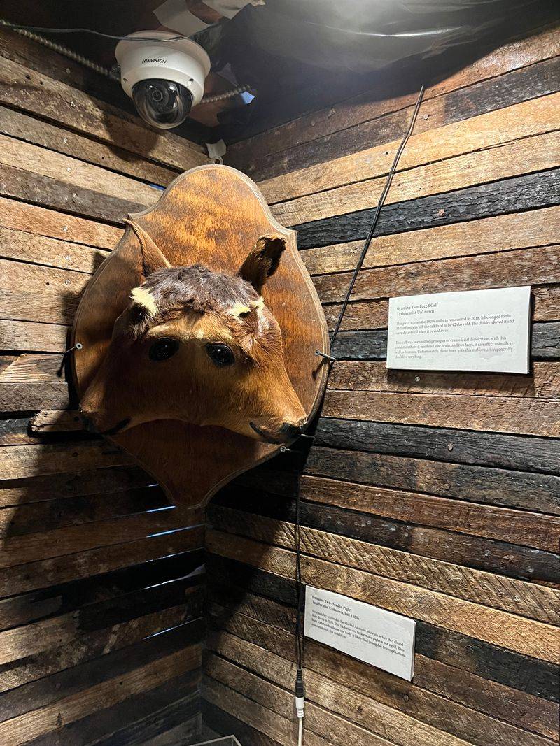 Interactive Dark History Experience