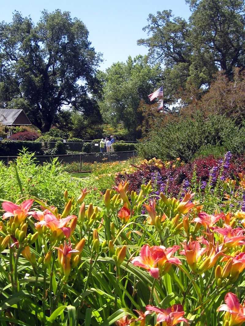 Annual Spring Events With Activities