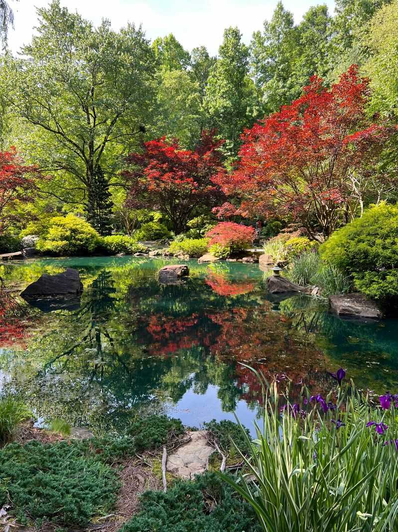 Reflection Pool Doubles The Beauty