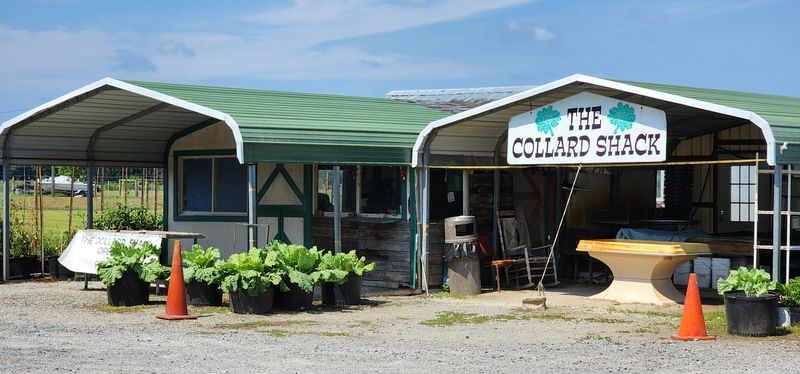 These North Carolina Restaurants Sell Out Daily, So Go Early - Decor Hint Skylight Inn BBQ, Ayden