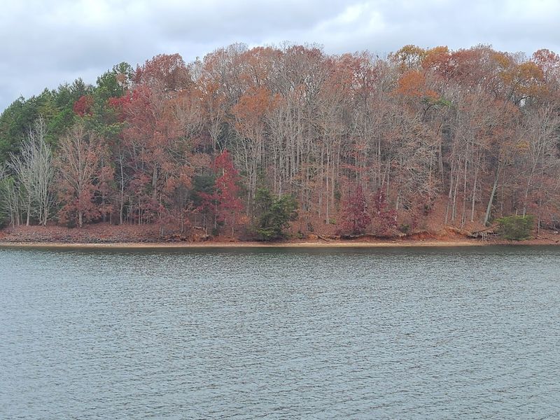 Lake Wylie Beach, Lake Wylie