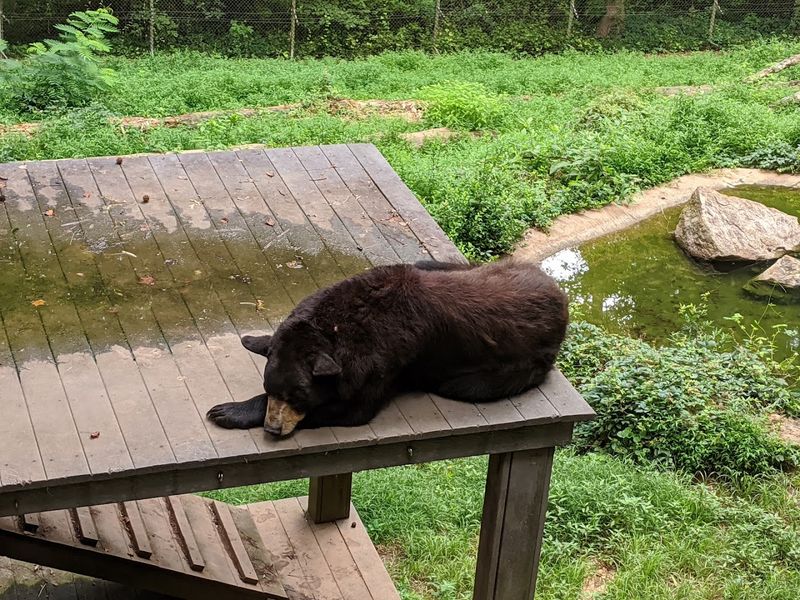 The Birchmore Trail Hike