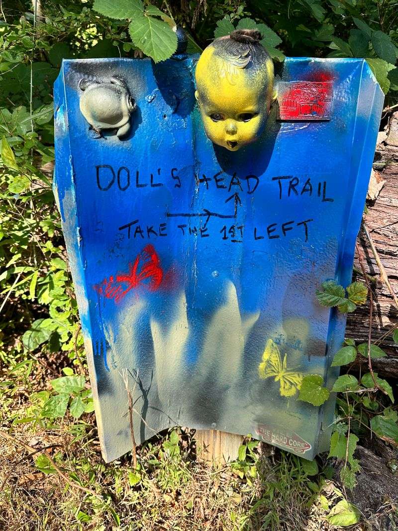 Creepy Porcelain Doll Collection