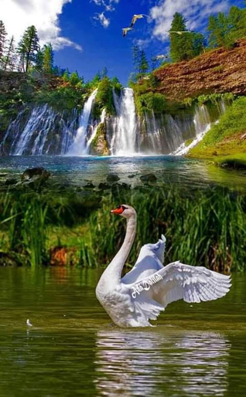 Over 130 Bird Species Call The Park Home