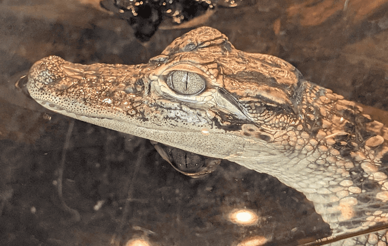 Marsh Trek Expeditions