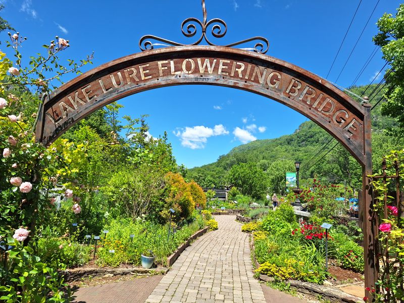 Lake Lure Flowering Bridge, Lake Lure