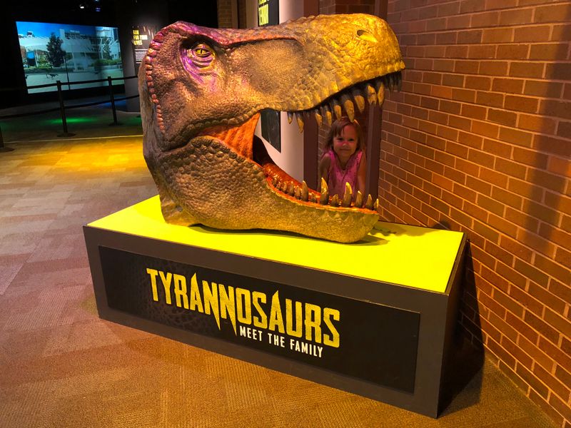 Tyrannosaurs Meet The Family Exhibit