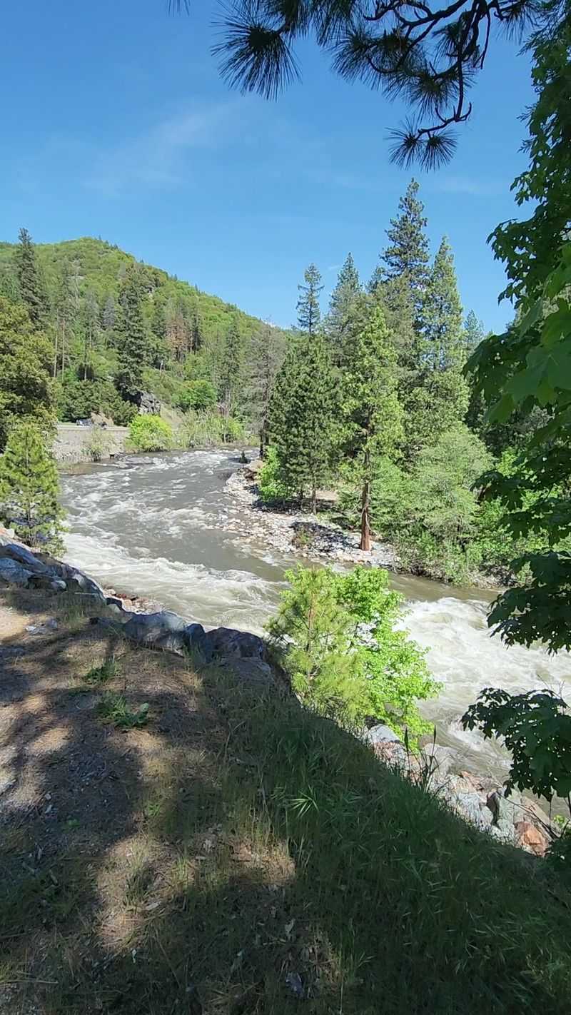 Where Nature Meets Diversity