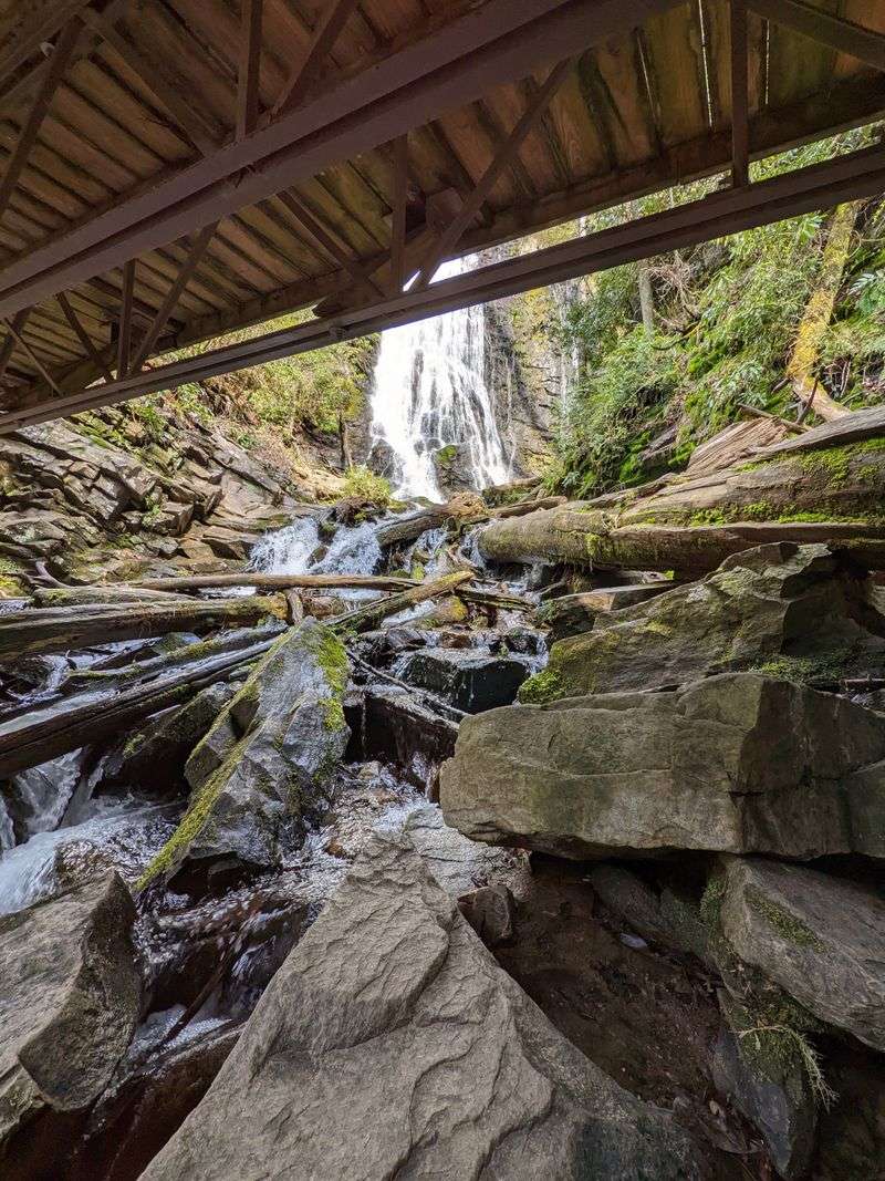 This North Carolina Stairway Trail Turns Into A Spring Wonderland - Decor Hint The Name Behind The Beauty