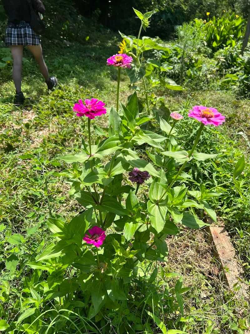 Educational Workshops On Sustainable Living