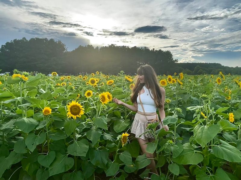 Over 100,000 Annual Visitors