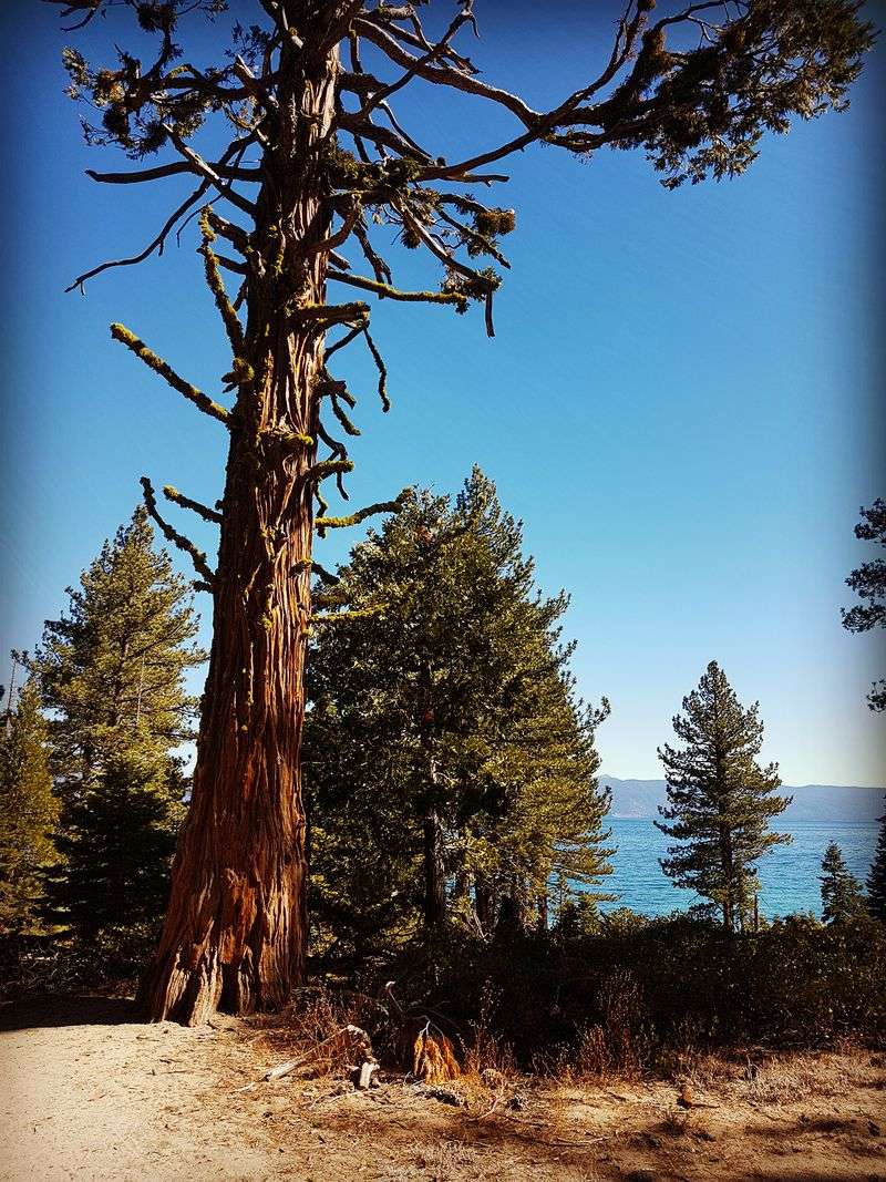 The River's Naming Story From 1849