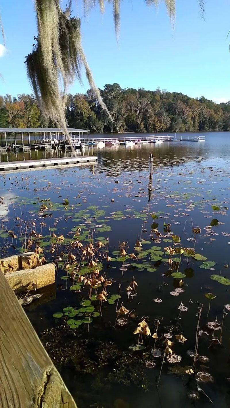 Stargazing Away from City Light Pollution