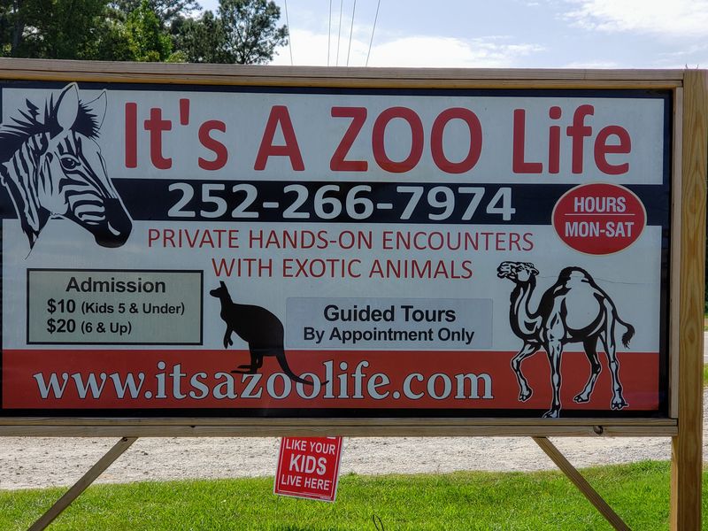 This North Carolina Sanctuary Turns Into A Summer Safari Adventure - Decor Hint Simple Booking Process Through Website And Advance Planning