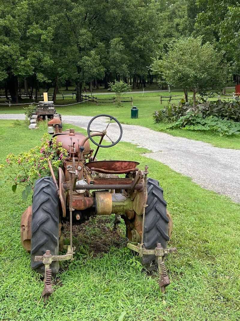 This Unassuming Georgia Farm Is Secretly Home To Some Of The World's Most Exotic Animals - Decor Hint Shaded Picnic Areas Made for Slow Afternoons