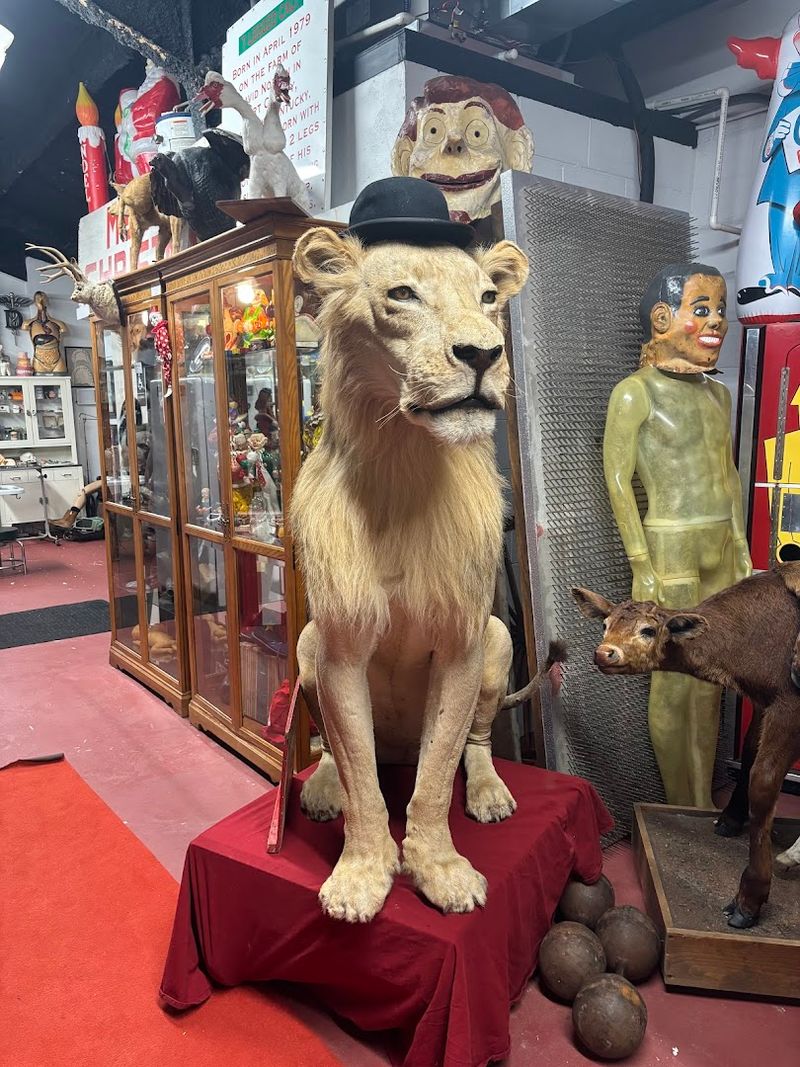 Freak Show Photography Archive