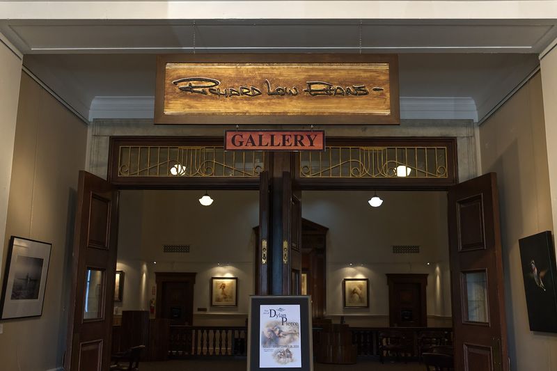 Blue Ridge Mountain Arts Association