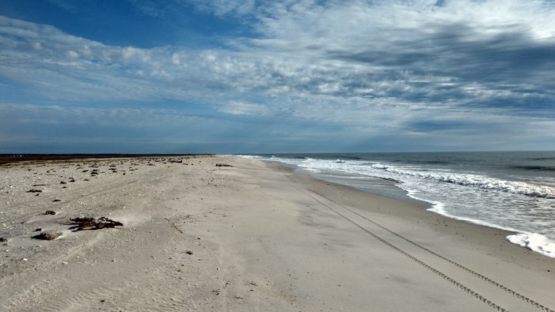 Largest Undeveloped Barrier Island Along Southern Coast