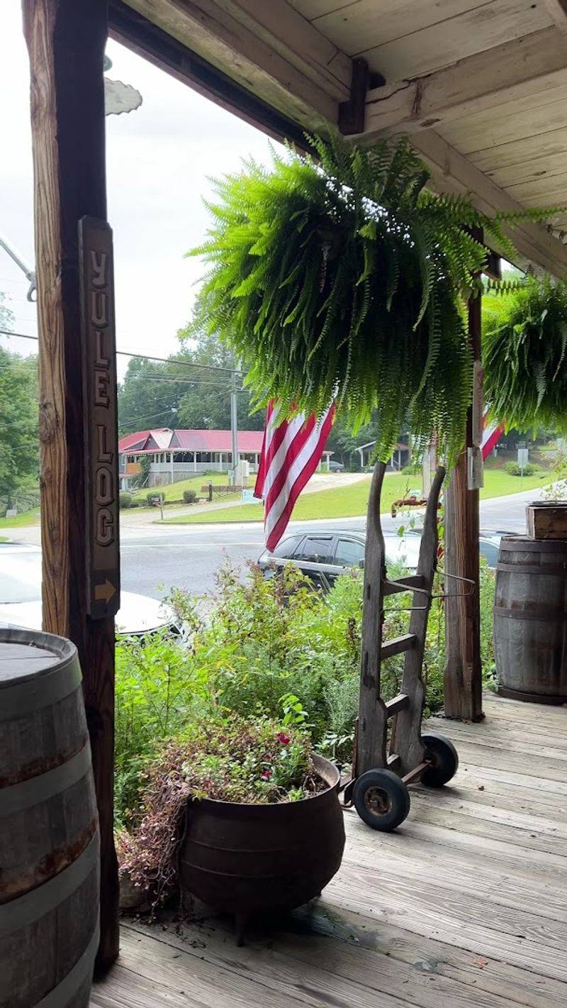 These Sweet Southern Classics Make Old Sautee Store Georgia A 2026 Travel Highlight - Decor Hint Muscadine Grape Jelly From a True Georgia Native Fruit