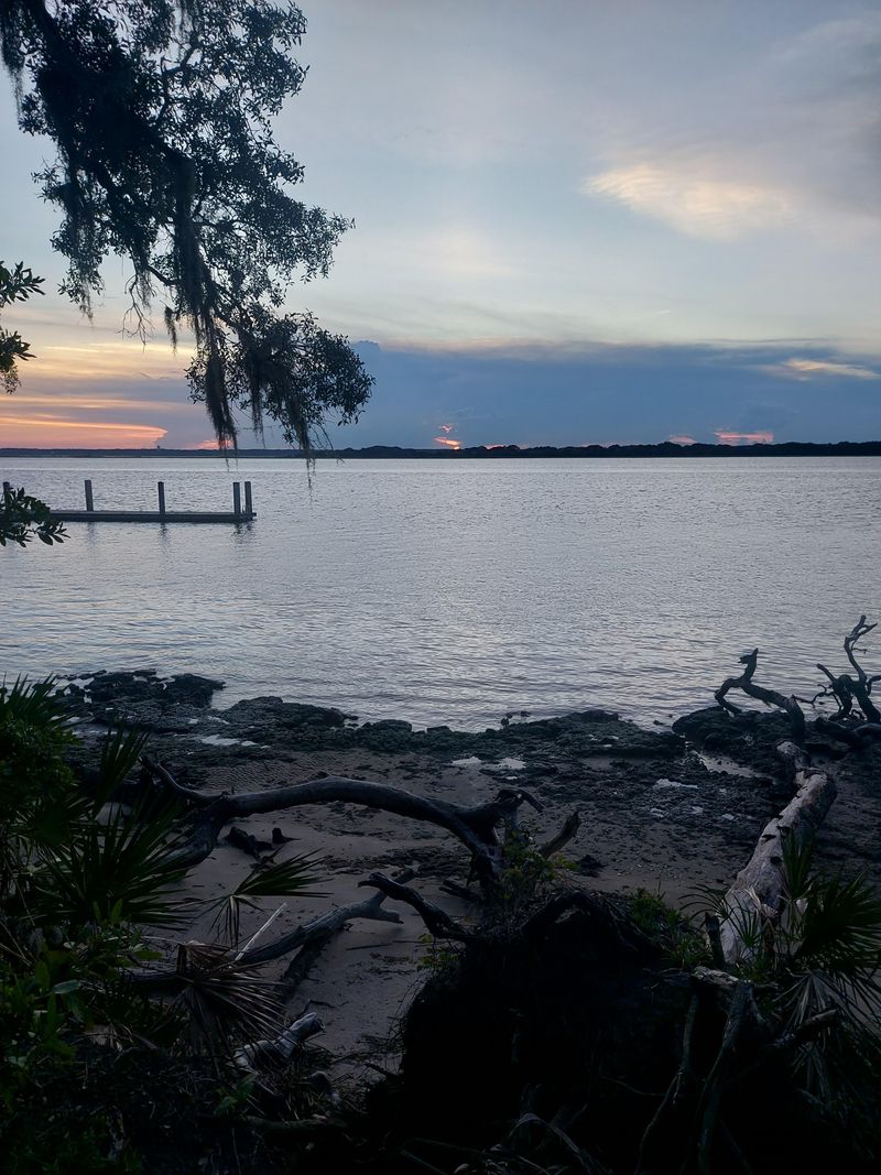 Shell Collecting and Beach Combing