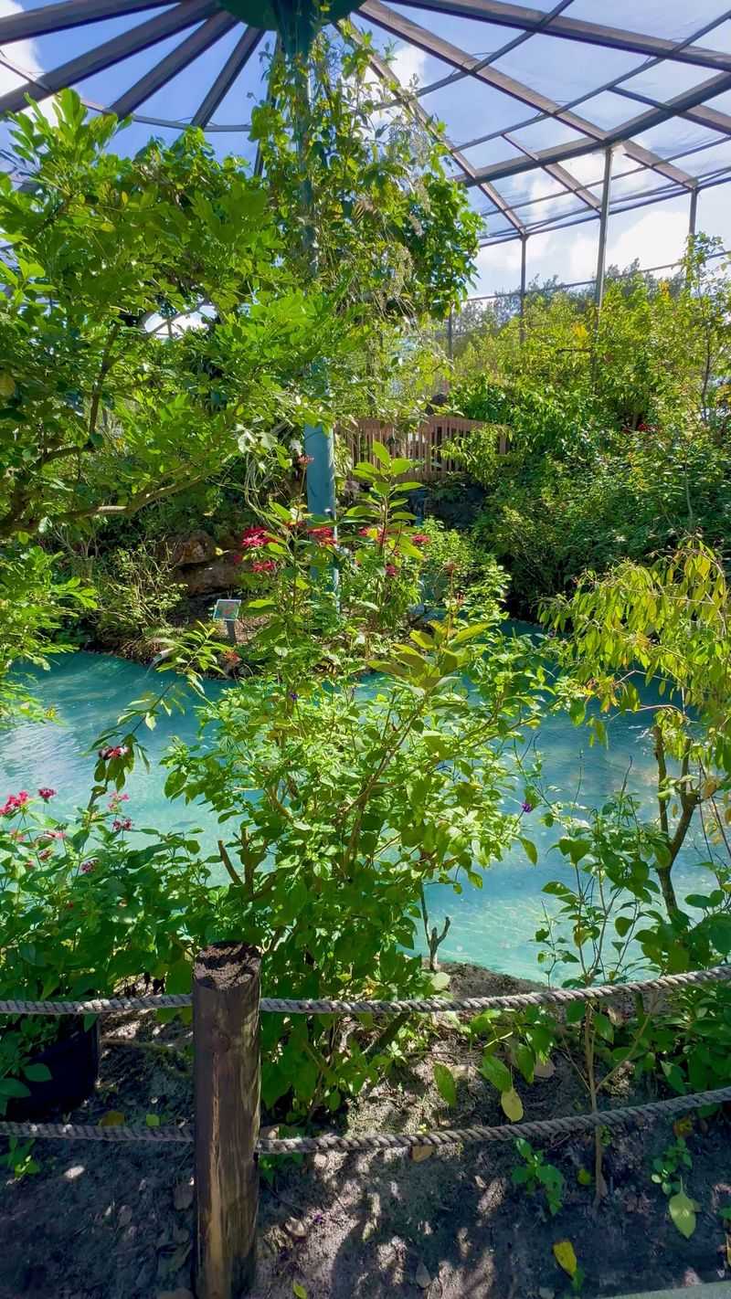 Historic First: Opened In 1988