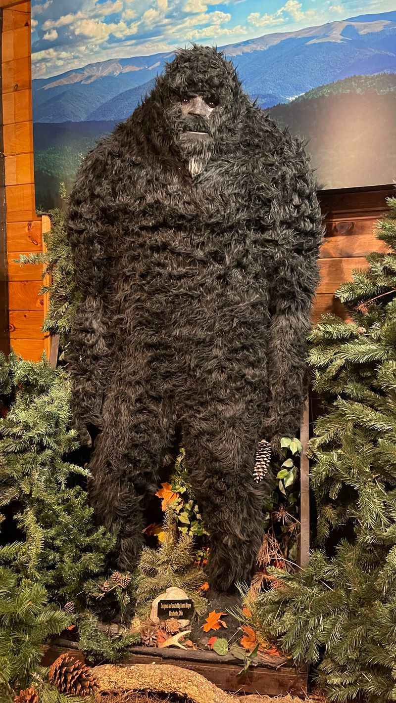 Interactive Exhibits for Kids and Families