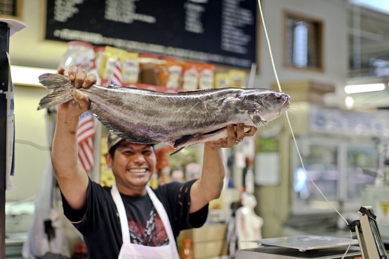 Seafood Counters Display Ocean Treasures
