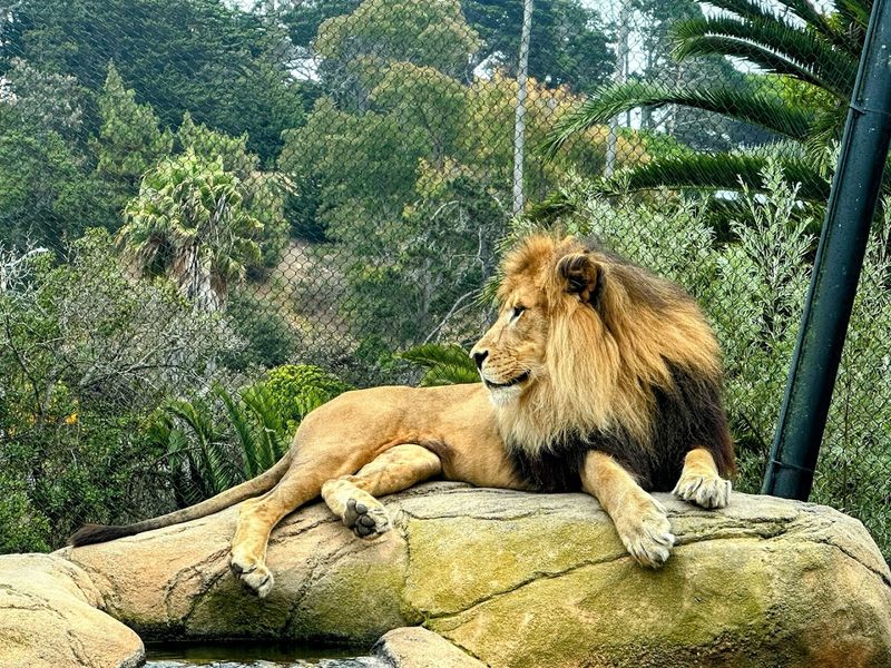 Santa Barbara Zoo