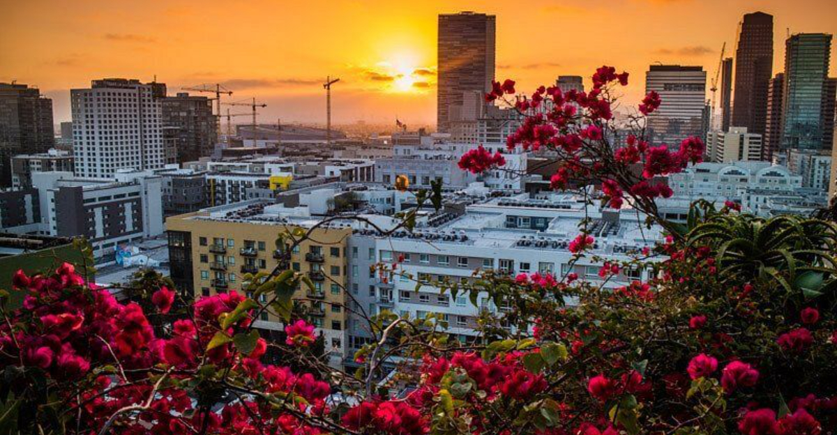 California Ranks Among The Happiest States In The U.S. Well Being And Community Fuel Its High Score 2 - Decor Hint